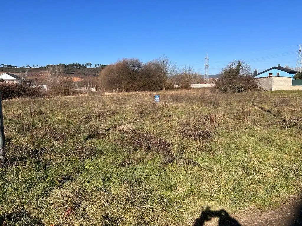 Terreni e lotti in vendita a Camponaraya, imagen 2
