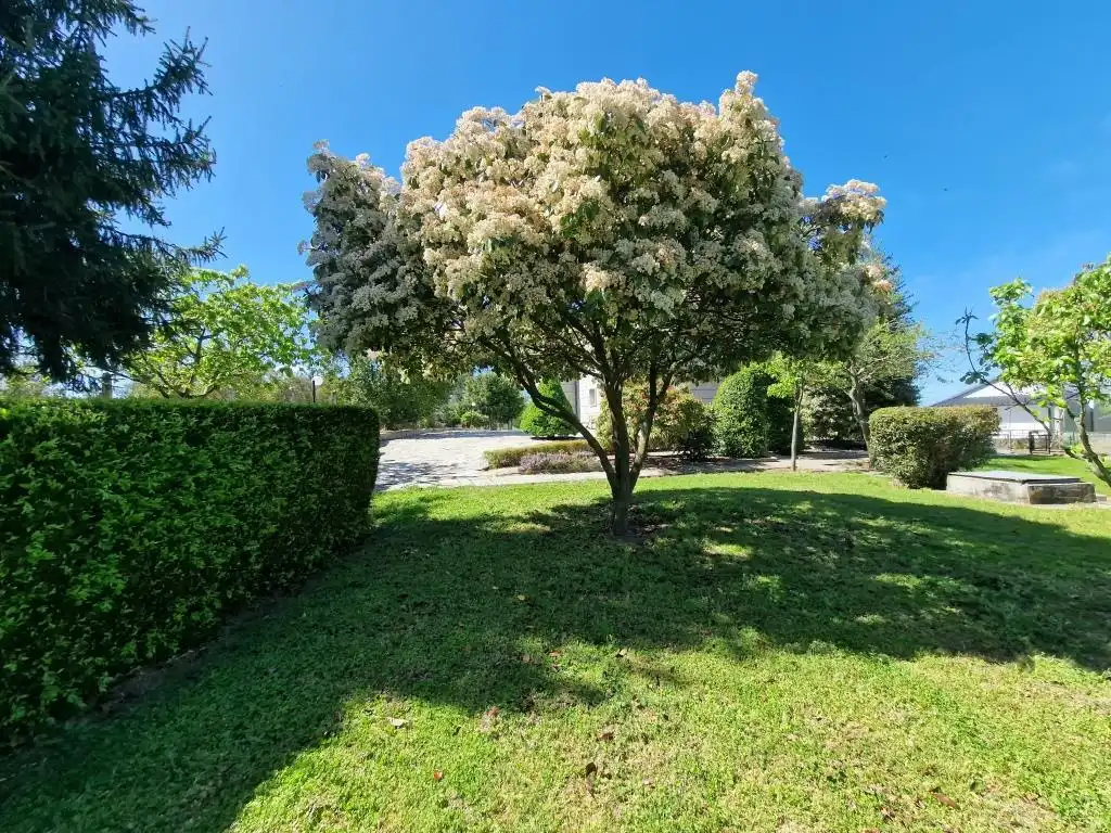Jardín de Casa o chalet en venta en Ourense Capital  con Calefacción, Jardín privado y Parquet