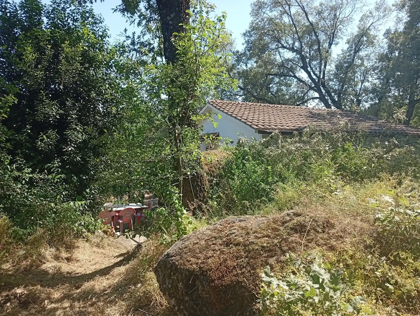 Terreni e lotti in vendita a Villanueva de la Vera, imagen 33
