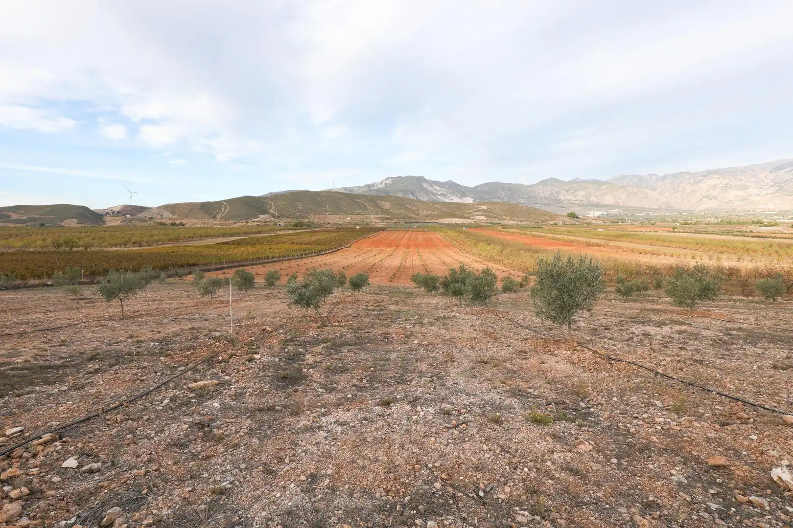 Rural land for sale in Calle Polígono 1 CIJANCOS. VILLAMENA, imagen 21