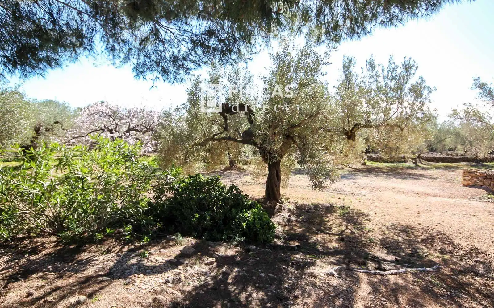 Finca rústica en venda en Camarles amb Terrassa i Moblat