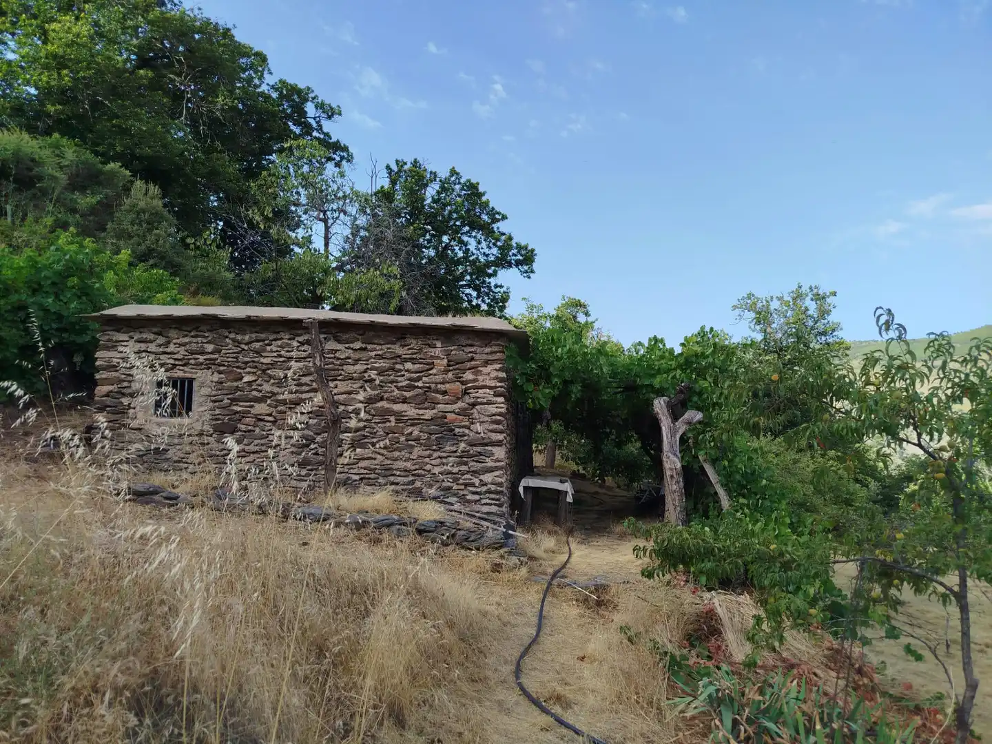 Rural land for sale in Alpujarra de la Sierra, imagen 10