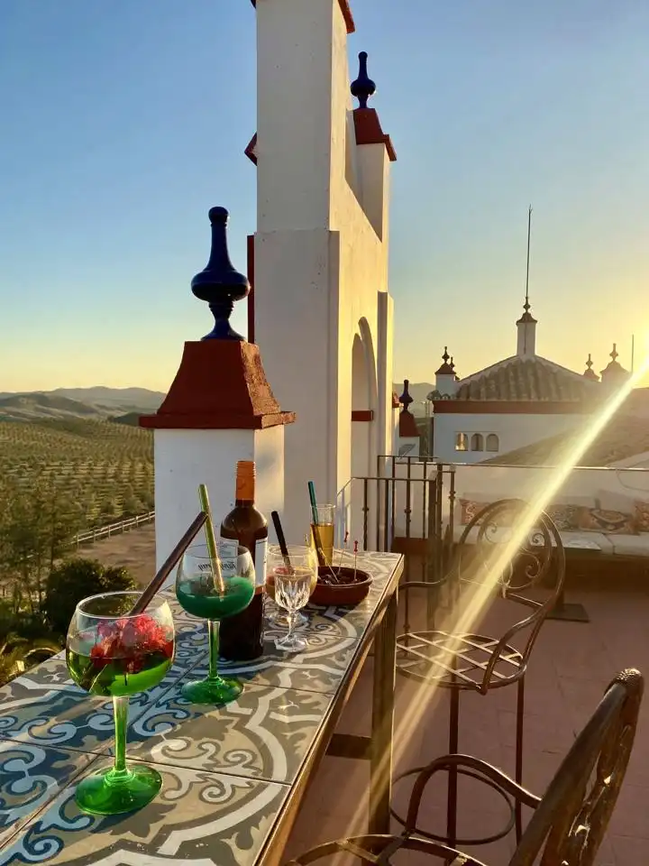 Country house with terrace for sale in Morón de la Frontera, imagen 57