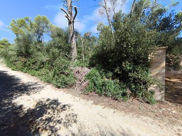 Terreno rustico in vendita a Montuïri