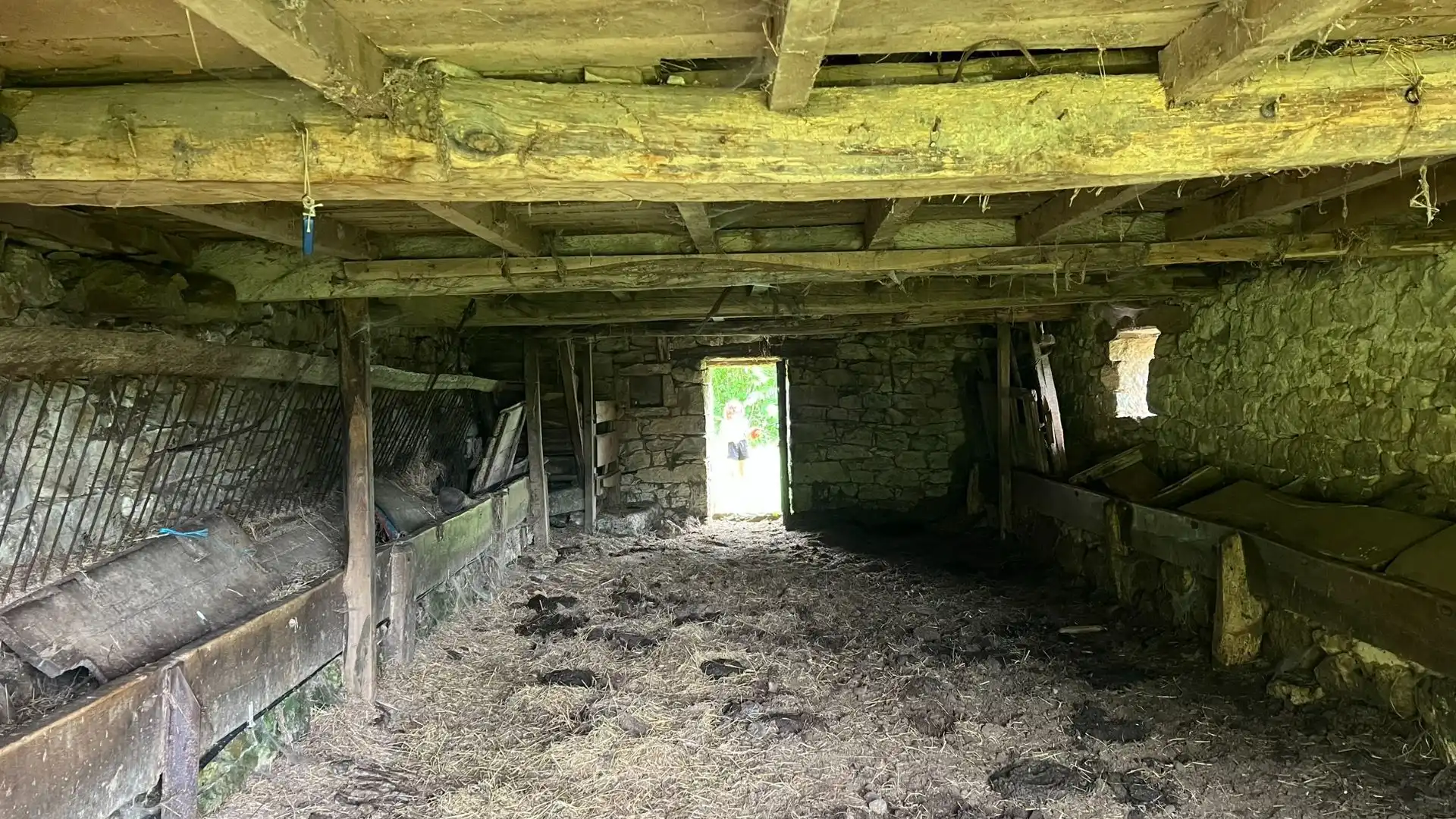 Rural land for sale in Onís, imagen 15