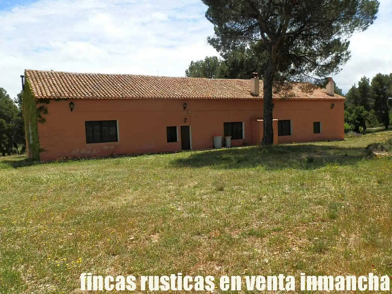 Terreni e lotti in vendita a Elche de la Sierra, imagen 6