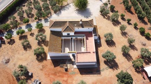 Foto 2 de Finca rústica en venta en Carretera Diseminados 2, Carmona, Sevilla