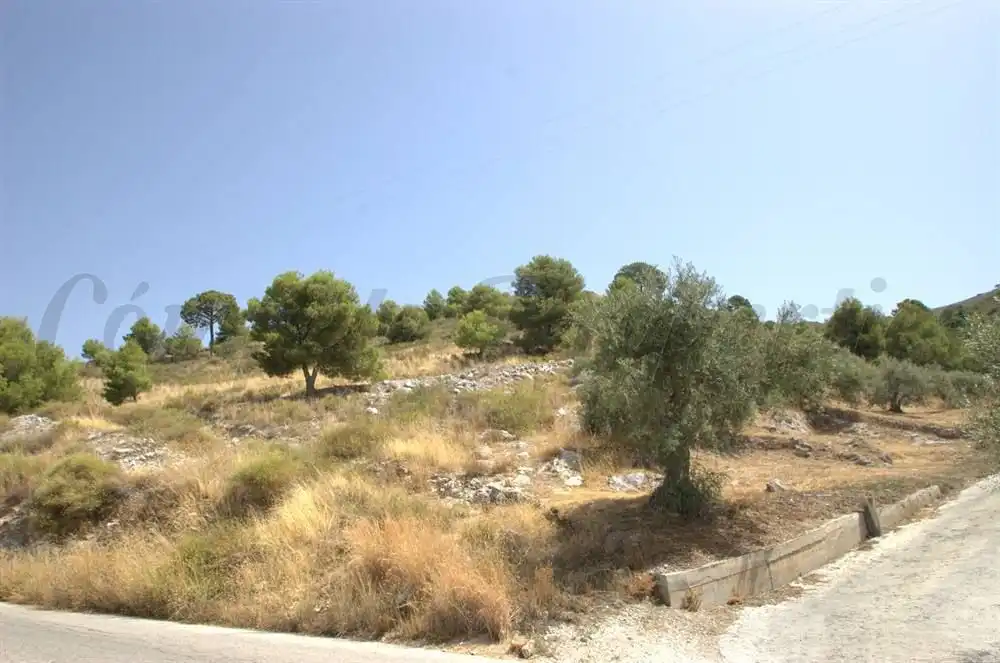 Terreny rústic en venda a Canillas de Albaida