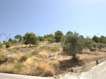 Terreny rústic en venda a Canillas de Albaida