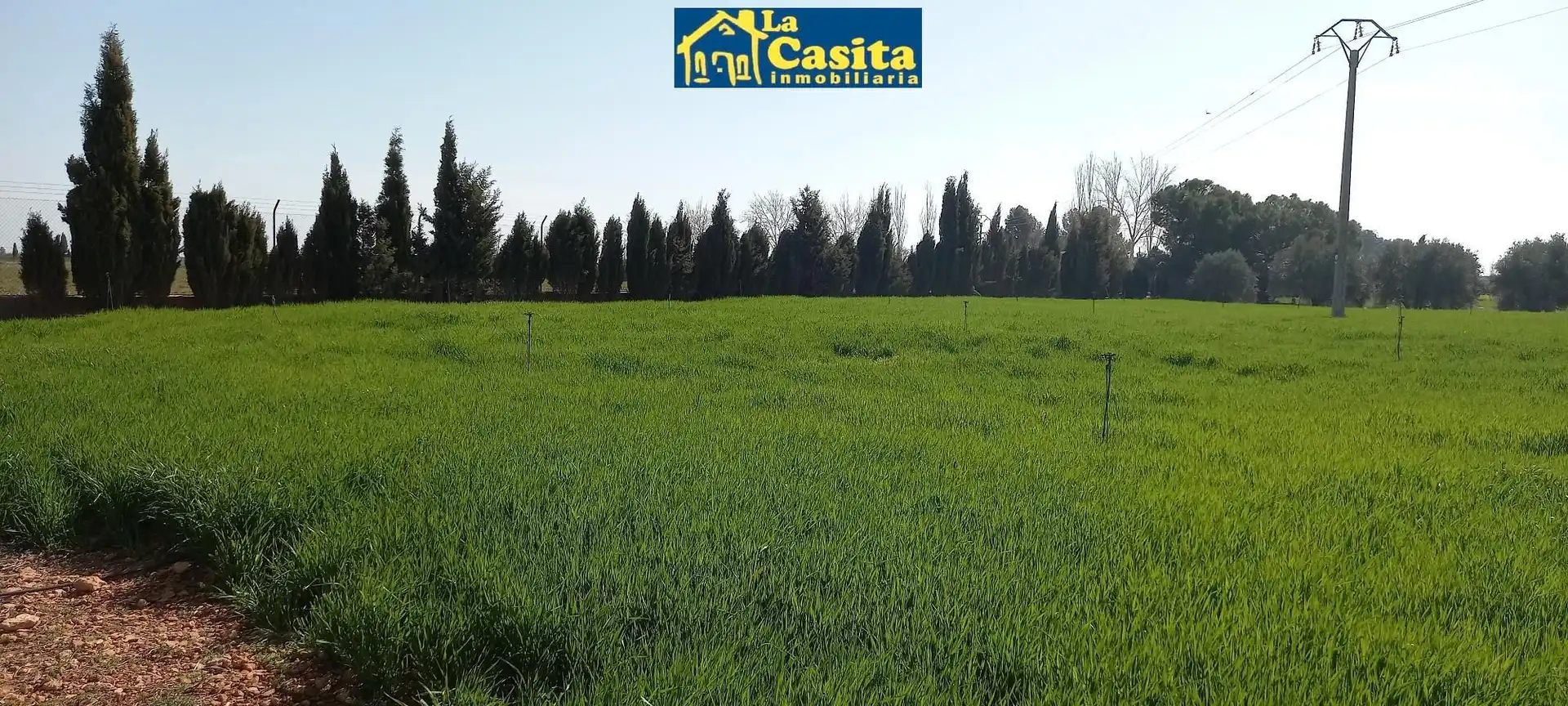 Nau industrial en venda a Almagro, imagen 24