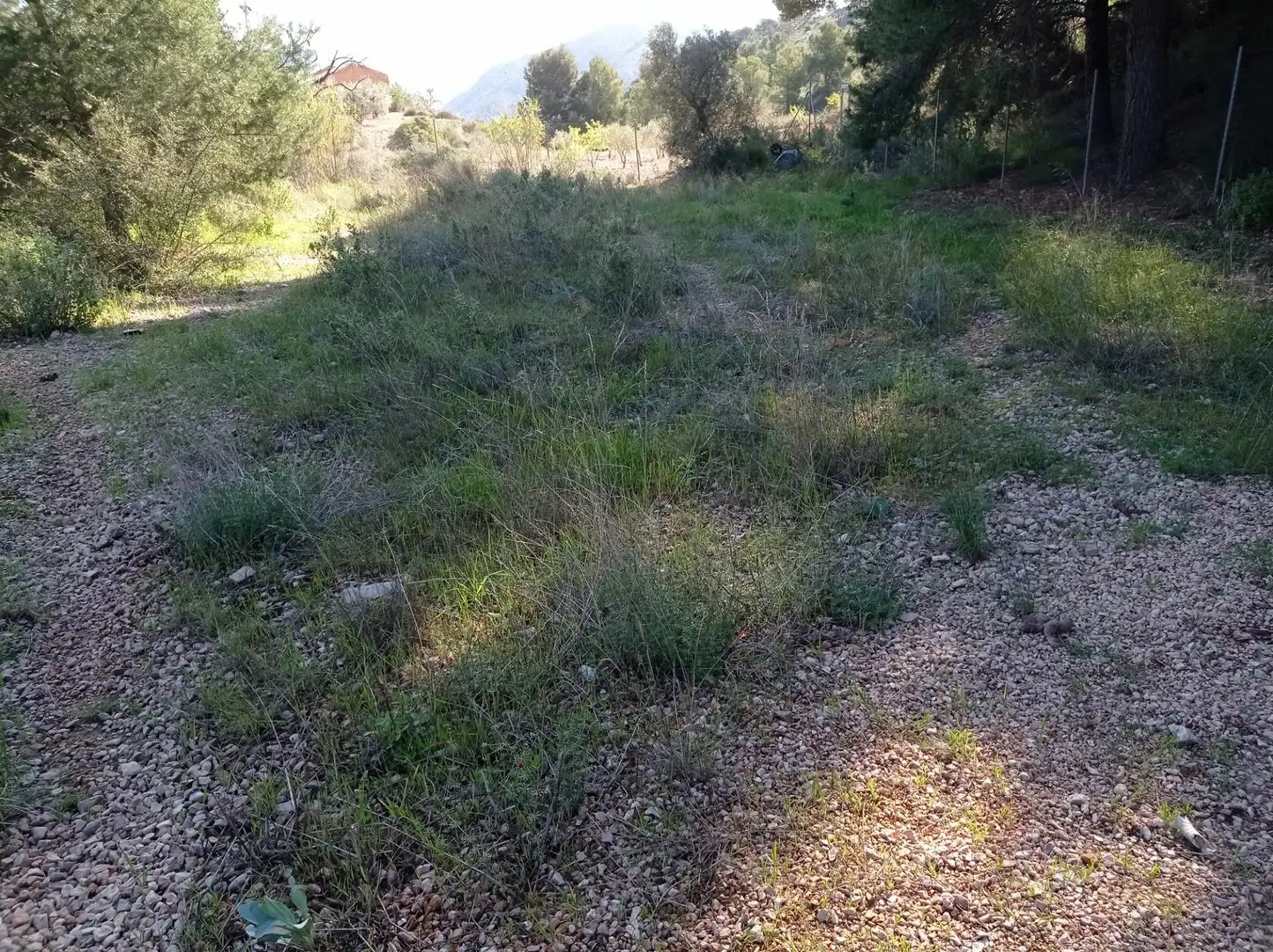 Wohnbaugrundstück zum Verkauf in Monóvar  / Monòver, imagen 42