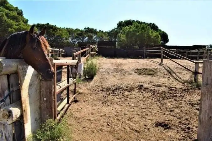 Terrenos y solares en venta en Mas Mora - Sant Daniel, imagen 51