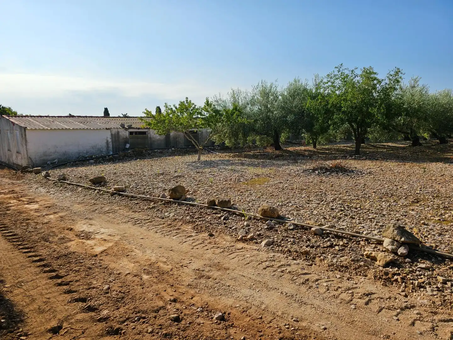 Country house for sale in Alcanar, imagen 25