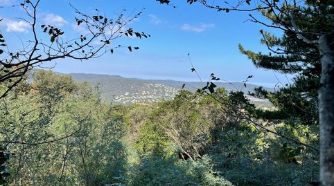 CastellPlatja dAroTerreno, imatge 3