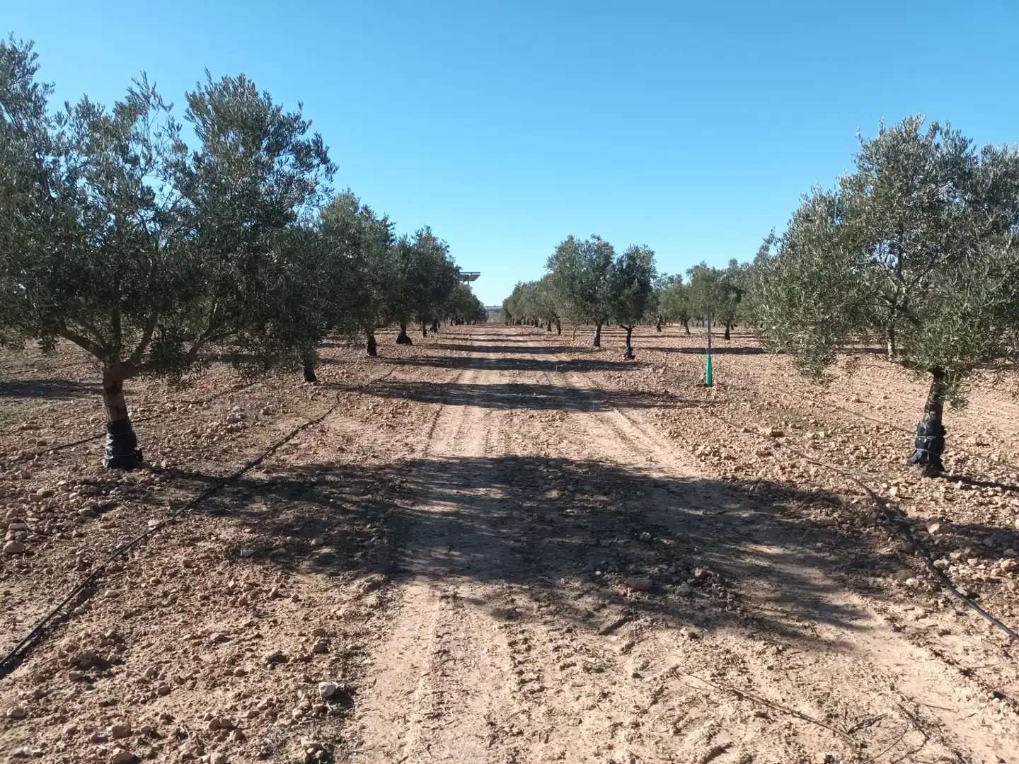Terrenys i solars en venda a El Toboso, imagen 7