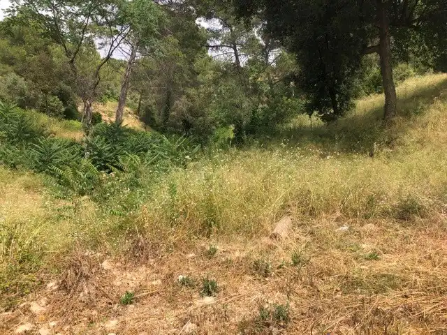 Terreno residenziale in vendita a Sud, imagen 13