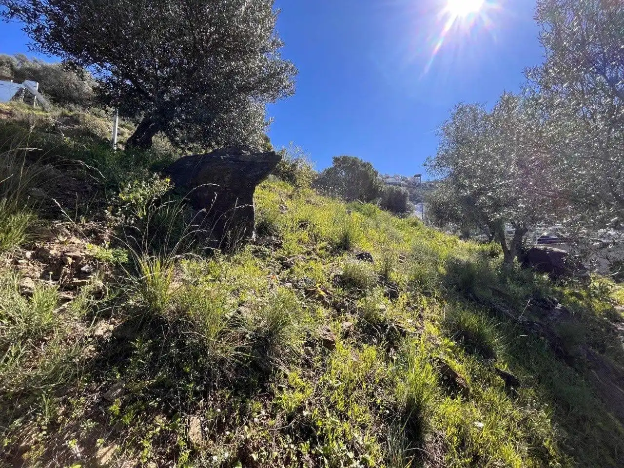 Terrenys i solars en venda a Pasaje de Marià Aguiló 19, imagen 7