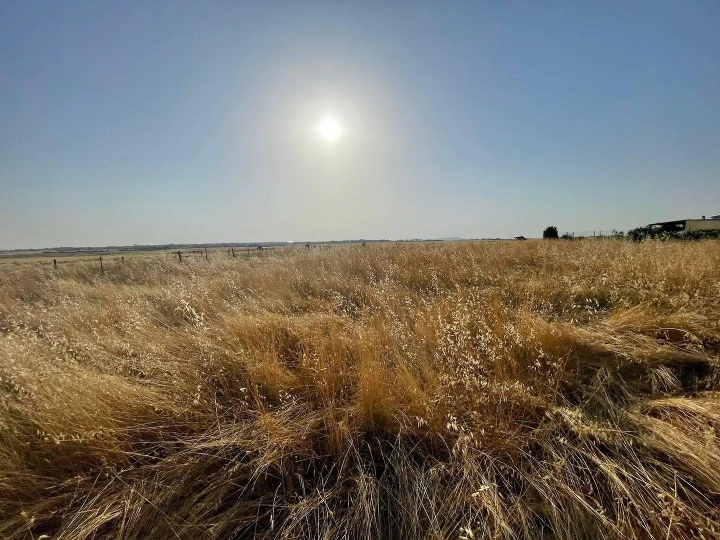 Terreno en venta en Malpartida de Cáceres
