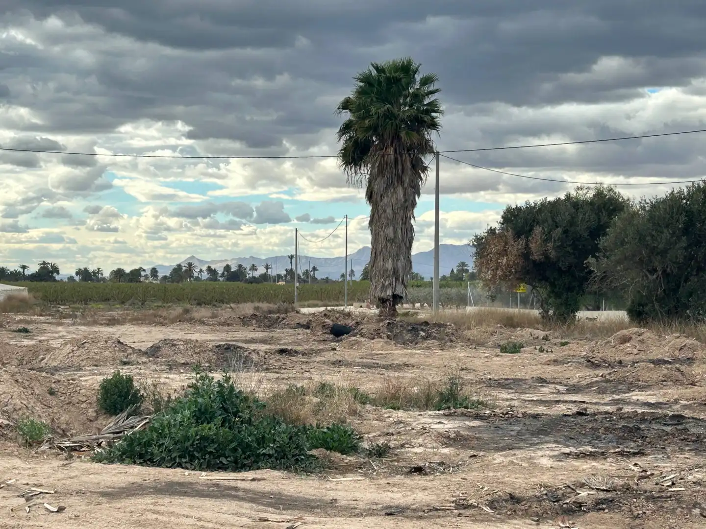 Casa o xalet en venda a Polígono 1, Elche de la Sierra