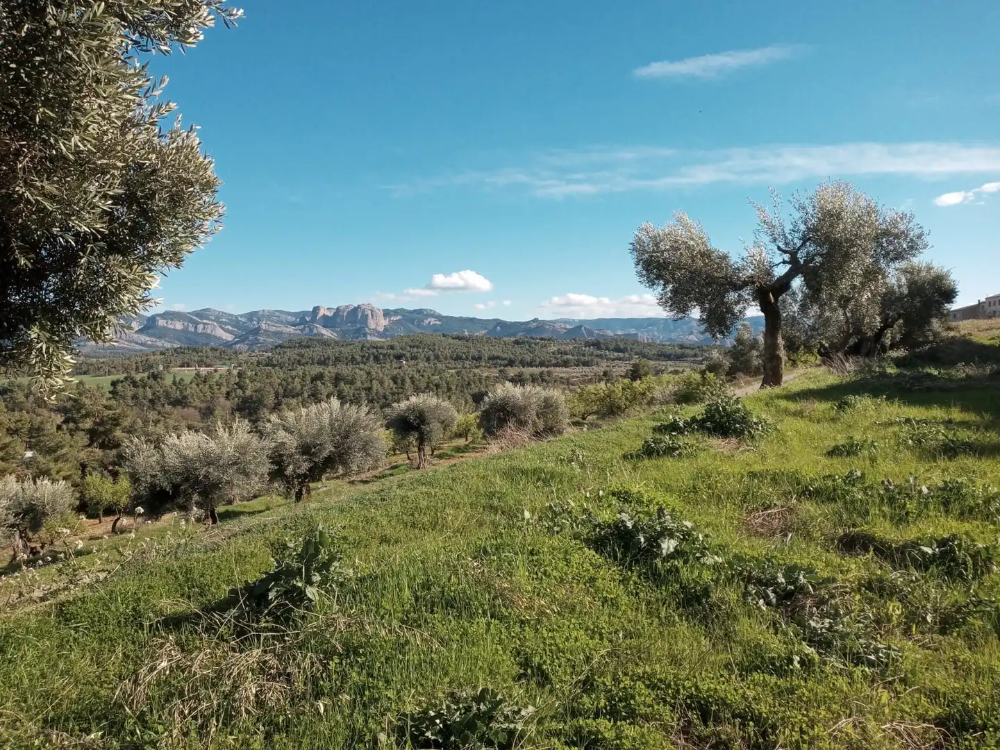 Terreni e lotti in vendita a Lledó, imagen 7