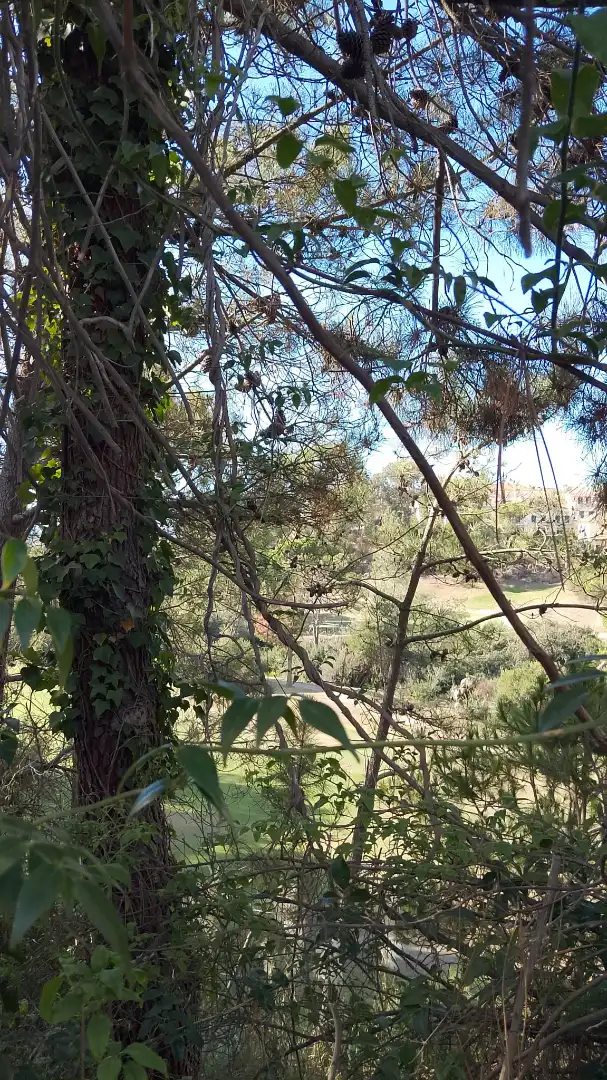 Dúplex en venda en Islantilla amb Jardí privat, Terrassa i Traster