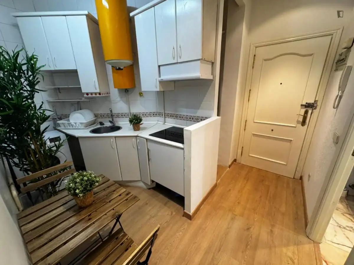Cocina de Apartamento de alquiler en  Madrid Capital con Amueblado, Lavadora y Microondas