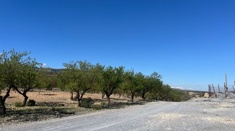 Finca en Carretera de la cabra Padul, immagine 3