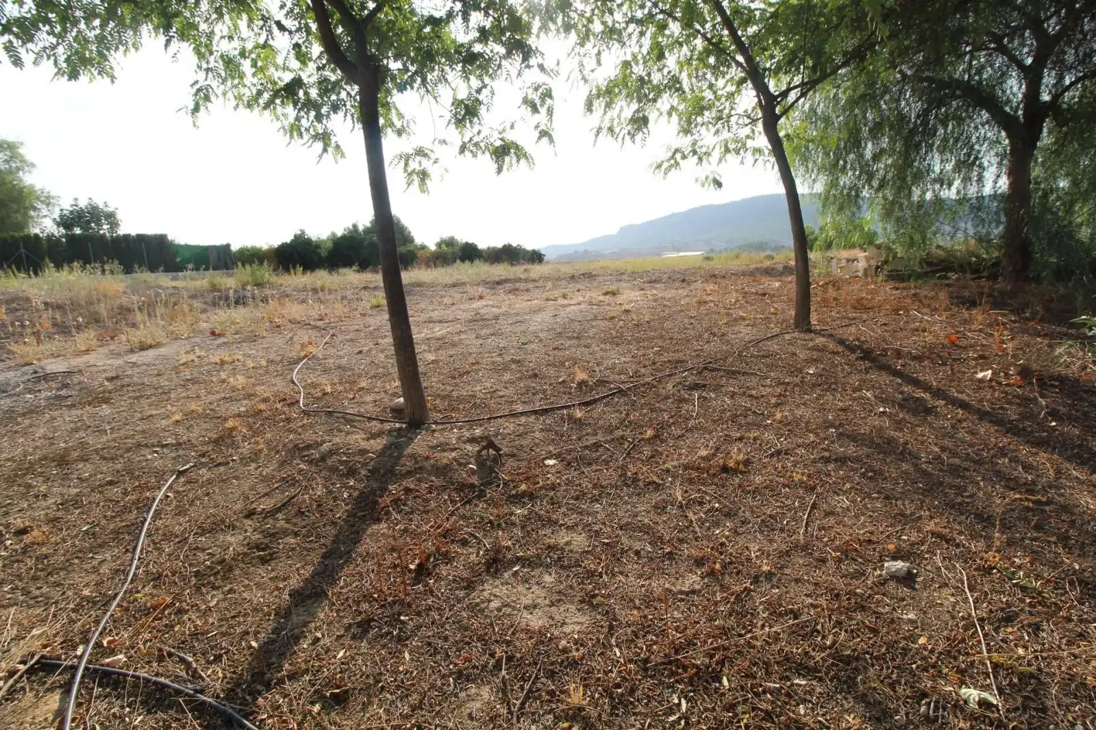 Casa o xalet en venda en Mula
