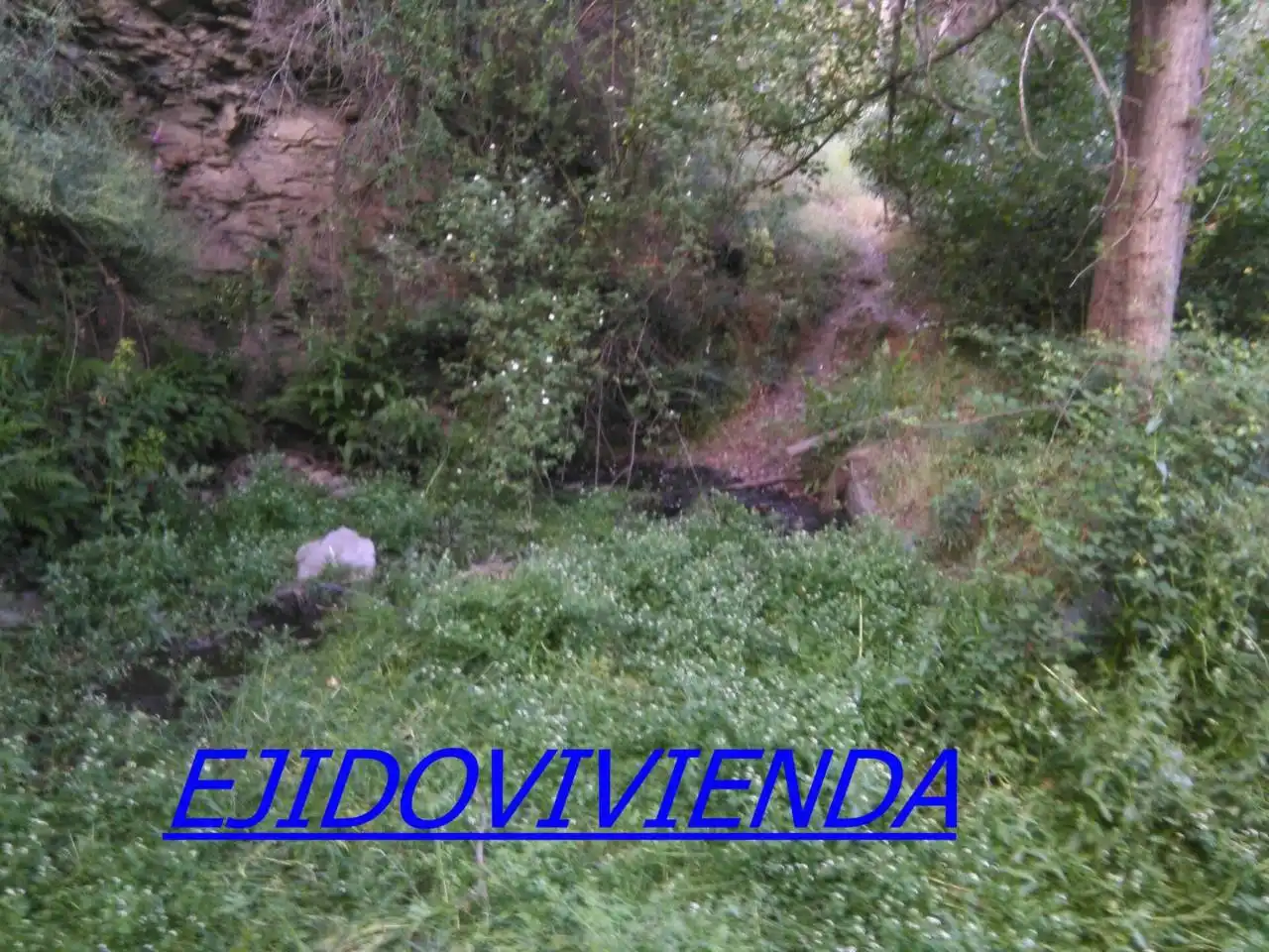 Terreni e lotti in vendita a Nevada, imagen 7