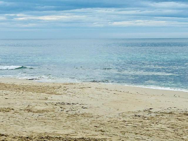 Casa adosada en Alquiler en Calle ALHELI-MOJON, 1 en El Mojón