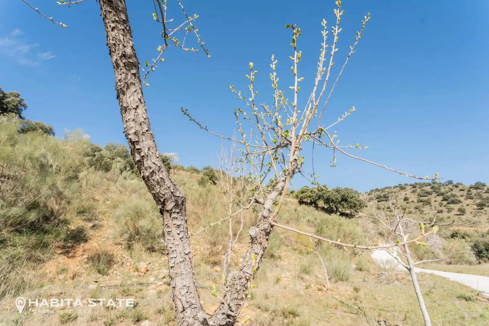 Casa o xalet en venda en Macael amb Jardí privat, Terrassa i Moblat