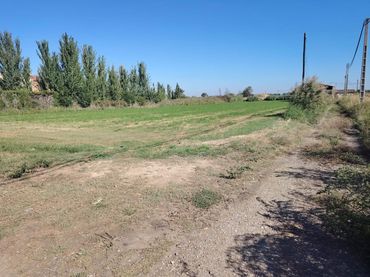 Terreni e lotti in vendita a Avenida Movera