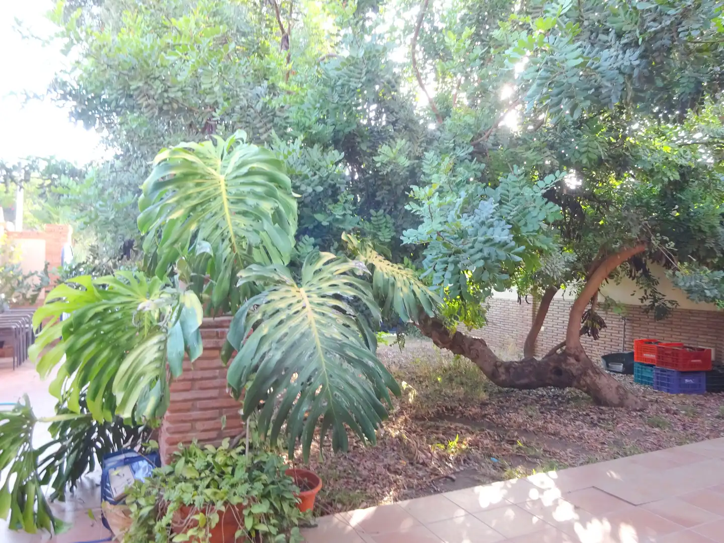 Jardí de Casa adosada en venda en Alhaurín de la Torre amb Aire condicionat, Jardí privat i Terrassa