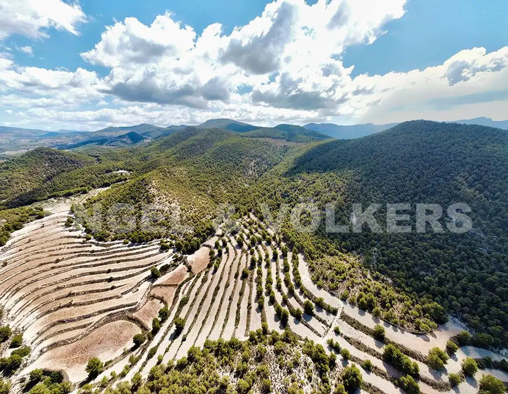 Finca rústica en venta en Jijona / Xixona