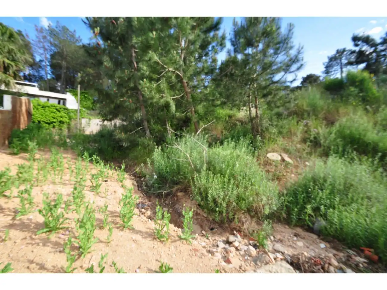 Terreno residencial en venta en Calle Roselles 29, imagen 6