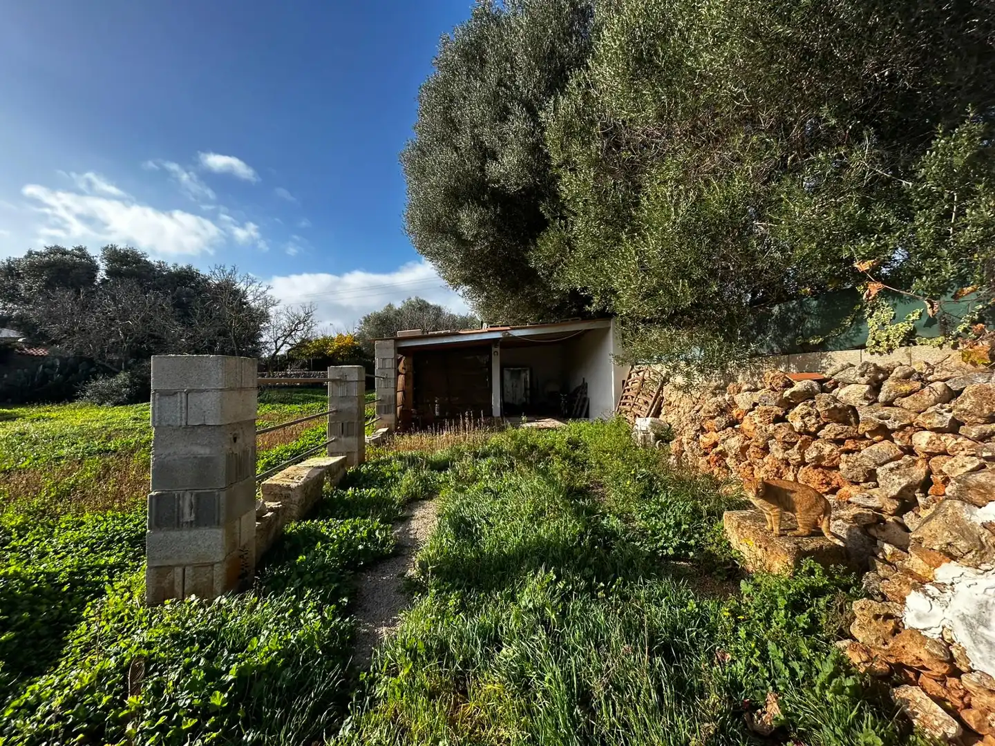 Landhaus mit Garten zum Verkauf in Ciutadella, imagen 3