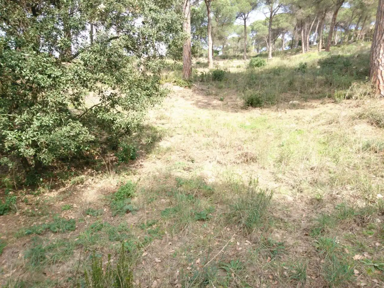 Terreny residencial en venda a Vilanova del Vallès, imagen 33