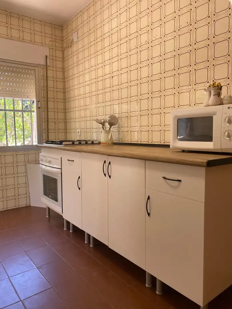 Cuina de Casa o xalet en venda en Chiclana de la Frontera amb Jardí privat i Piscina