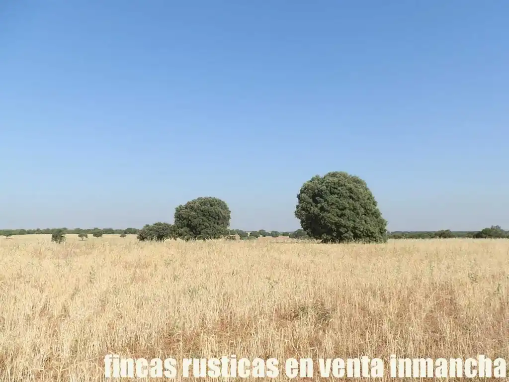 Terreno en venta en Alcaraz