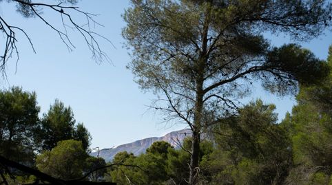 Foto 3 de Residencial en venta en Centro ciudad, Jávea / Xàbia