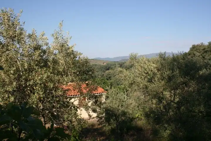 Terreni e lotti in vendita a Jarandilla de la Vera, imagen 7