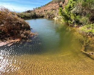 Piscina de Finca rústica en venda en Lanjarón amb Terrassa