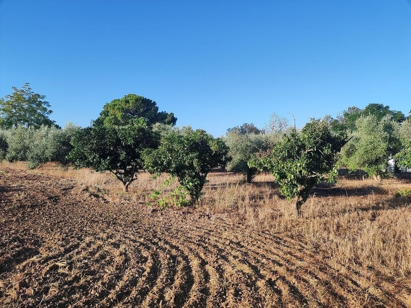 Residencial en venda en Badajoz Capital