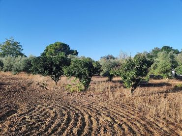 Terreni e lotti in vendita a Pedanías de Badajoz