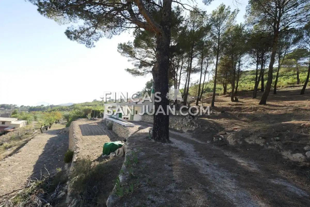 Residential zum Verkauf in Torremanzanas / La Torre de les Maçanes