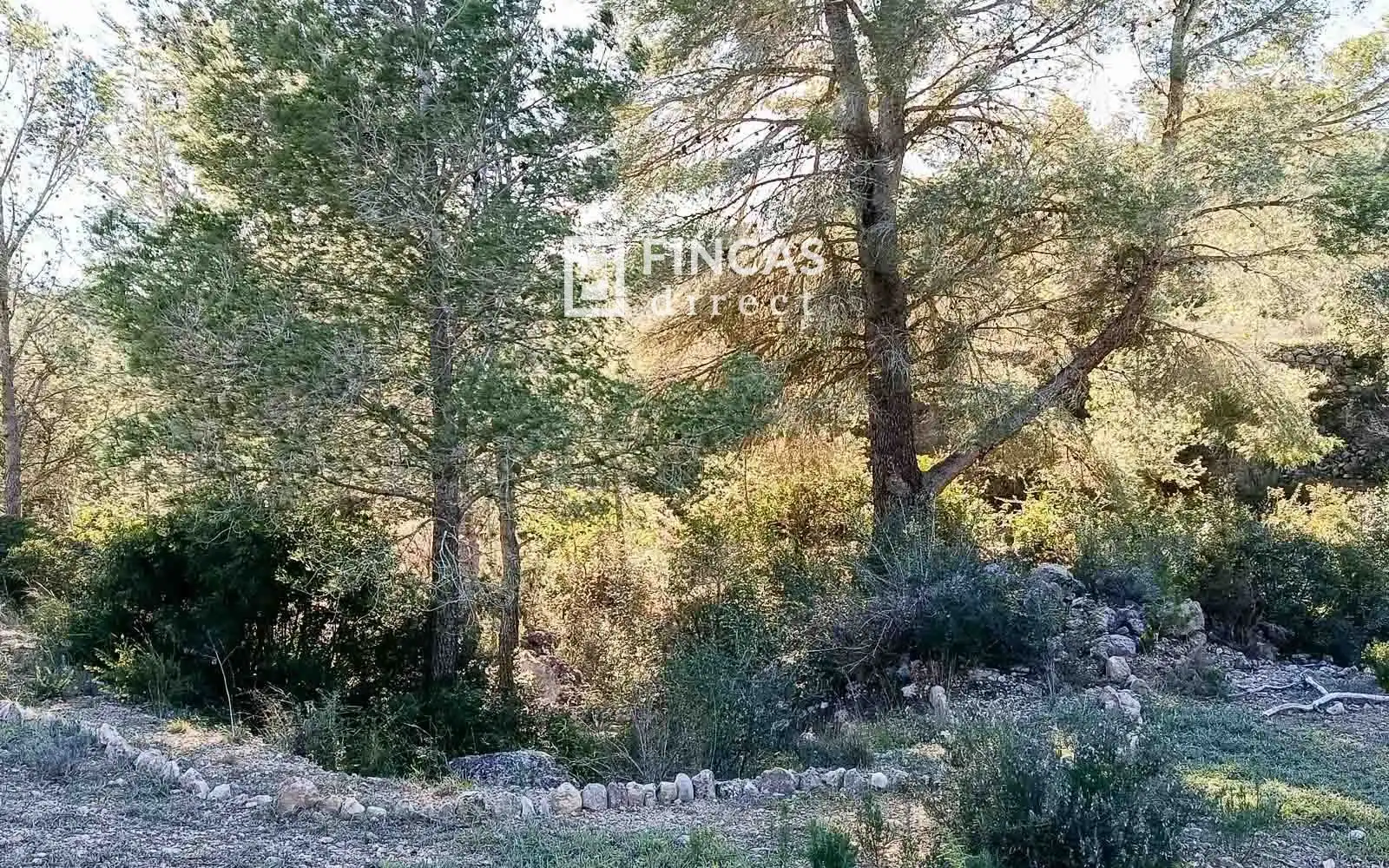 Finca rústica en venta en Miravet