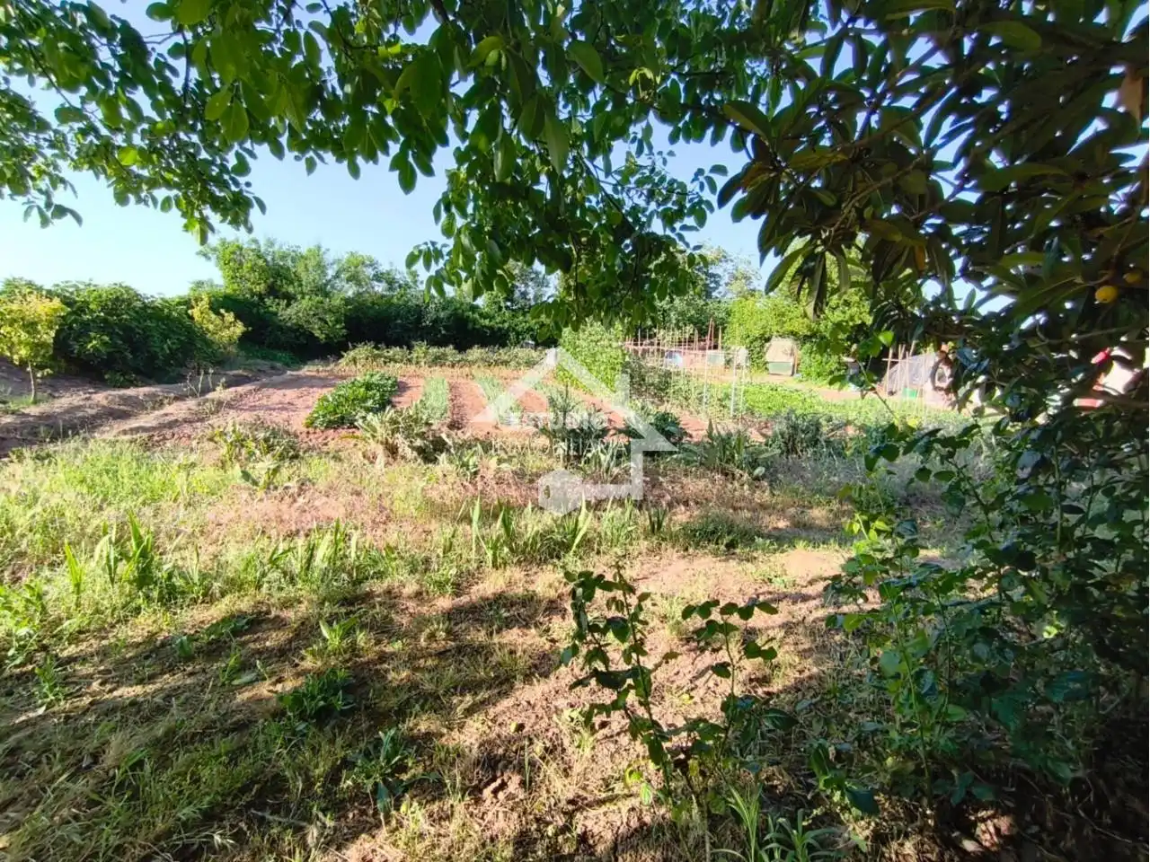 Rural land for sale in Calle carretera de la barca, imagen 19