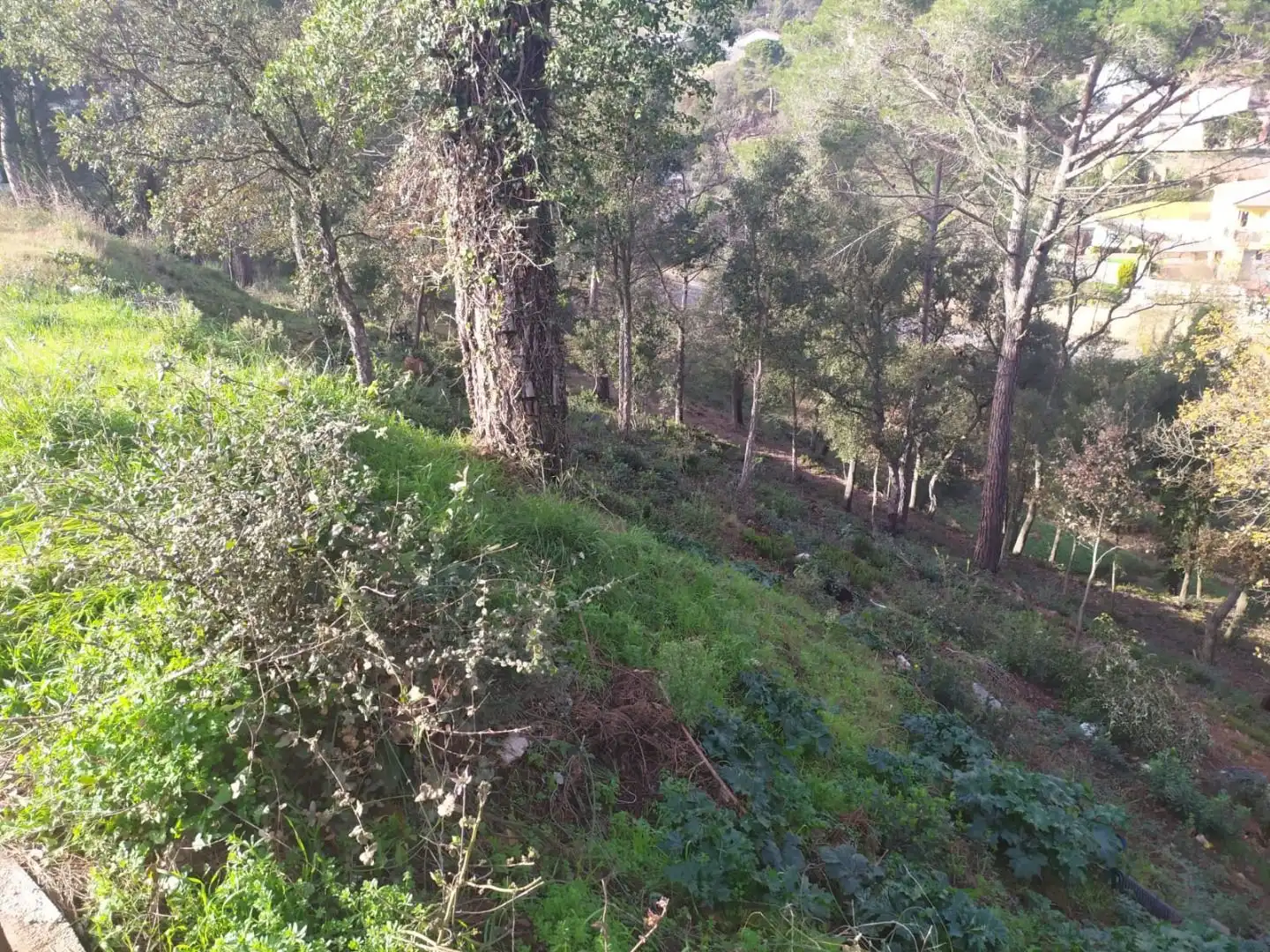 Wohnbaugrundstück zum Verkauf in Niàgara Parc - Àgora Parc, imagen 2