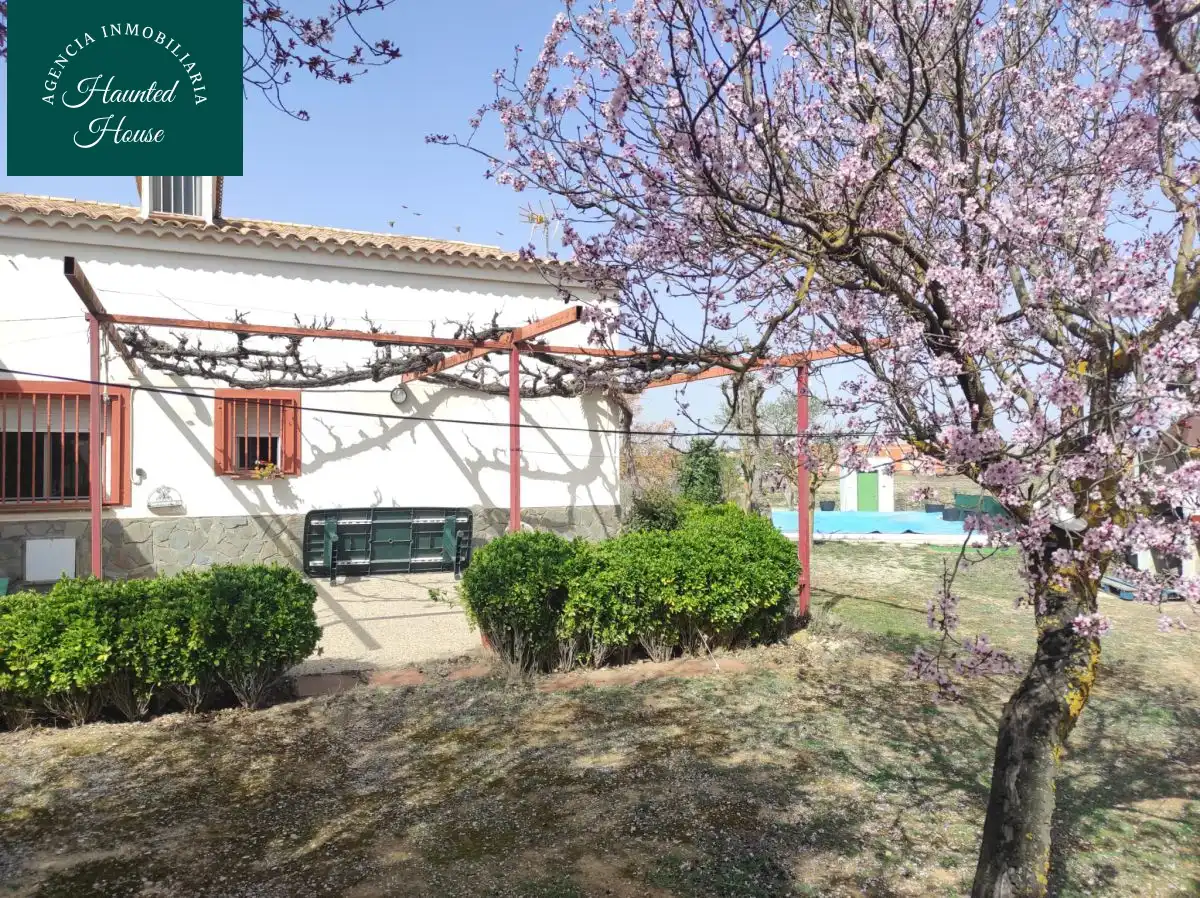 Casa amb terrassa en venda a DE LOS VALLEJOS, imagen 6