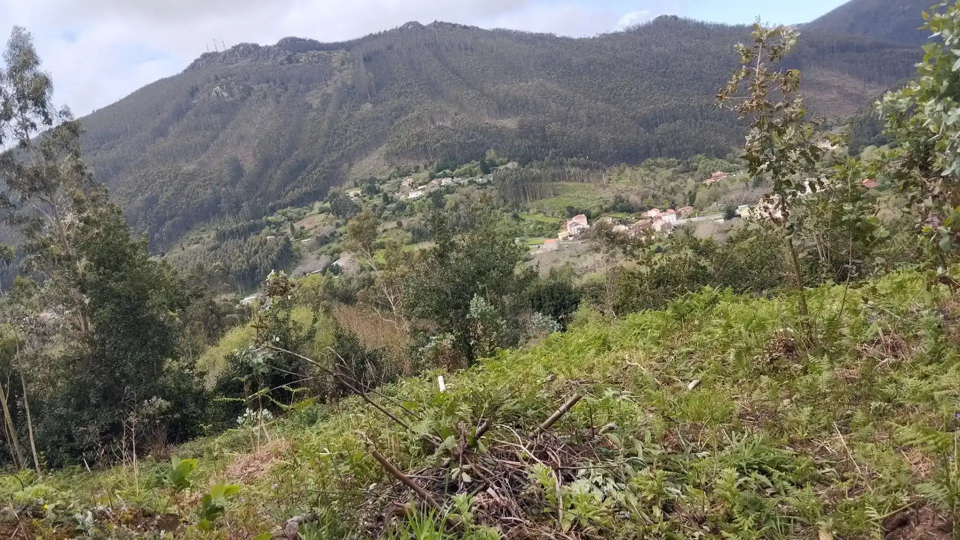 Terreno en venta en Cariño